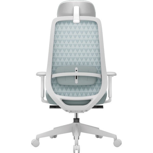 Фото - Крісло офісне OfficePro Omnis (OC640G)