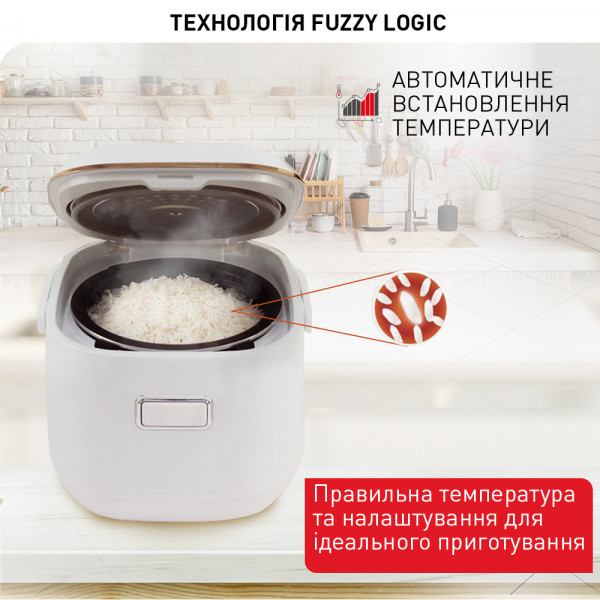 Фото - Мультиварка Tefal RK601132