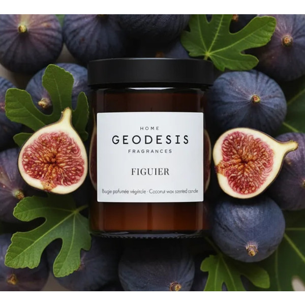 Фото - Свеча стекло Geodesis Fig Tree (Фиговое Дерево) 90г (1071309)