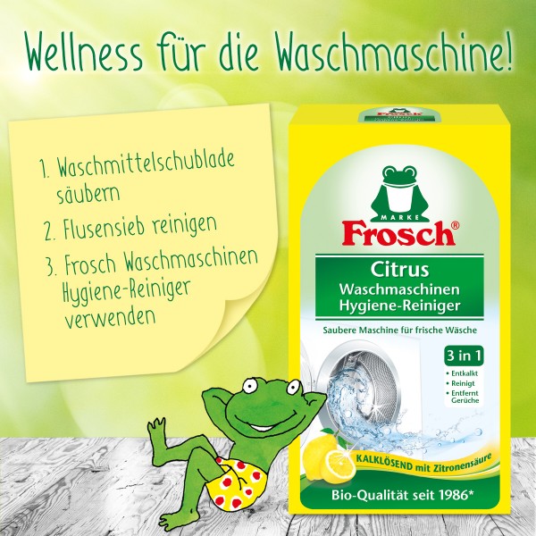 Фото - Средство от накипи для стиральных машин Frosch Лимон 250 г (4001499939891)