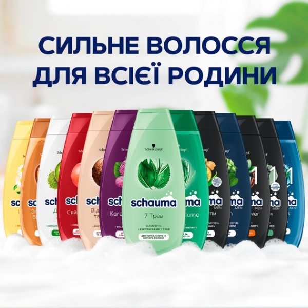 Фото - Шампунь чоловічий Schauma з Хмелем 250 мл (4012800567658)