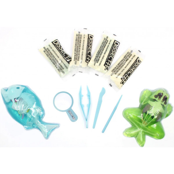 Фото - Набір для дослідження JOKER Slimy Lab Анатомія тварин - Жабеня та Піранья (38084)