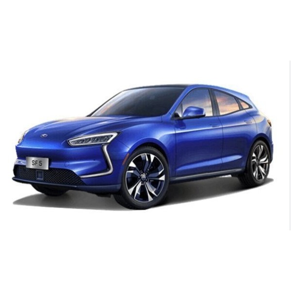Фото - EVA коврики в салон авто EVAtech для SF5 Seres 2019 1 поколение SUV EU ES44078PC4FC4RBB