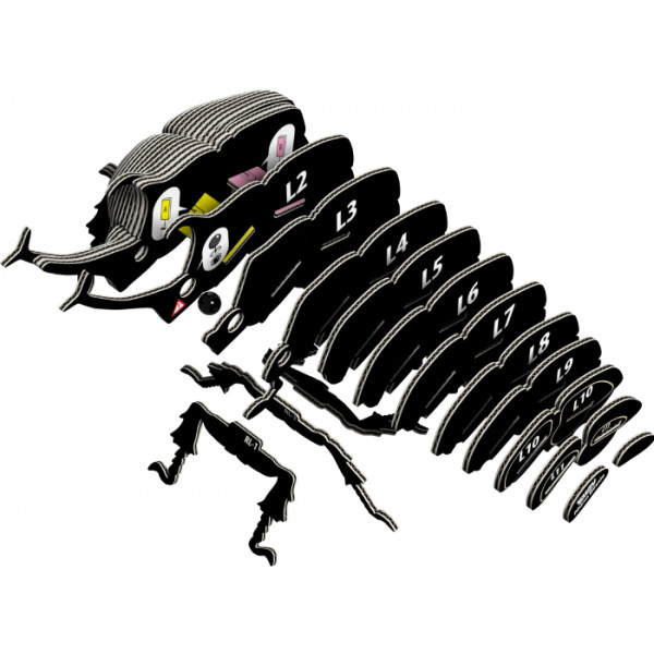 Фото - 3D пазли EUGY Зоопарк: Жук-носоріг (XEG-113)