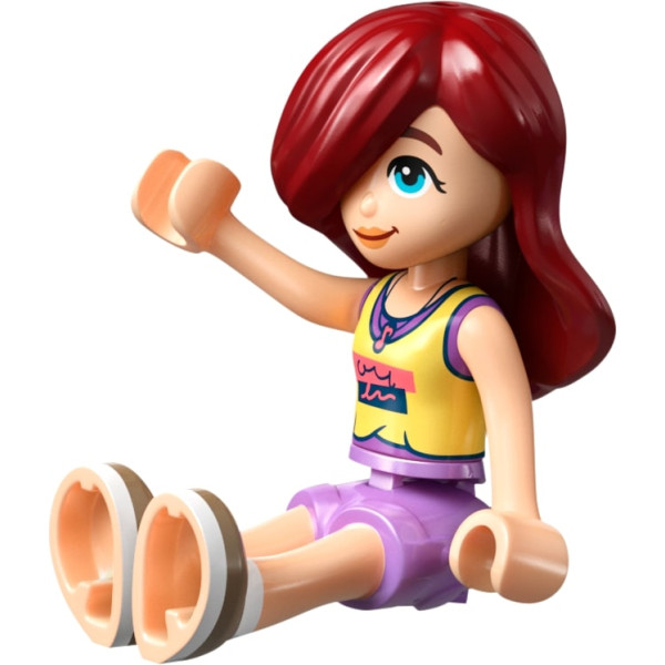Фото - Конструктор LEGO Friends День народження кота і будинок на дереві (42666)