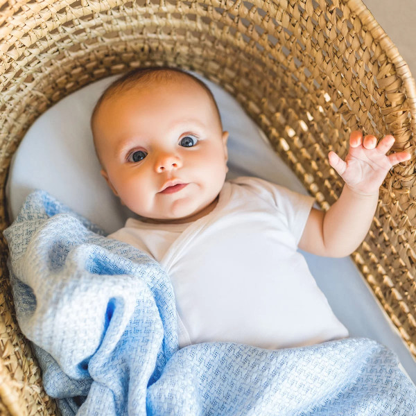 Фото - Плед детский демисезон BabyOno Коала, голубой 75 см x100 см (479/02)