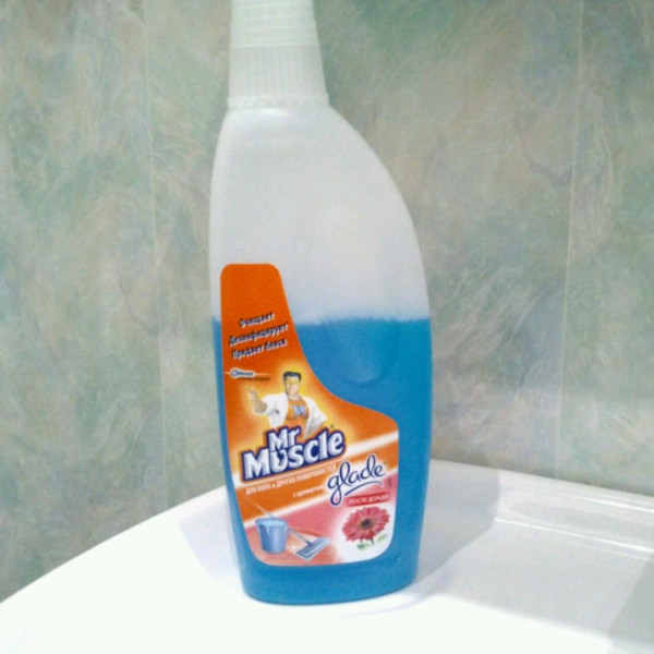 Фото - Чистящее средство универсальное SC Johnson Mr. Muscle После дождя 500 мл (4823002004564)