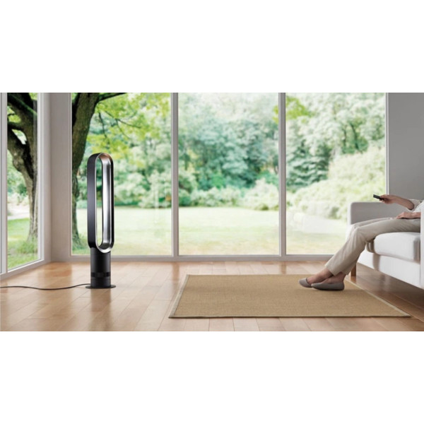 Фото - Вентилятор напольный Dyson АМ07 Tower Fan EU Wh/Sv (300912-01)