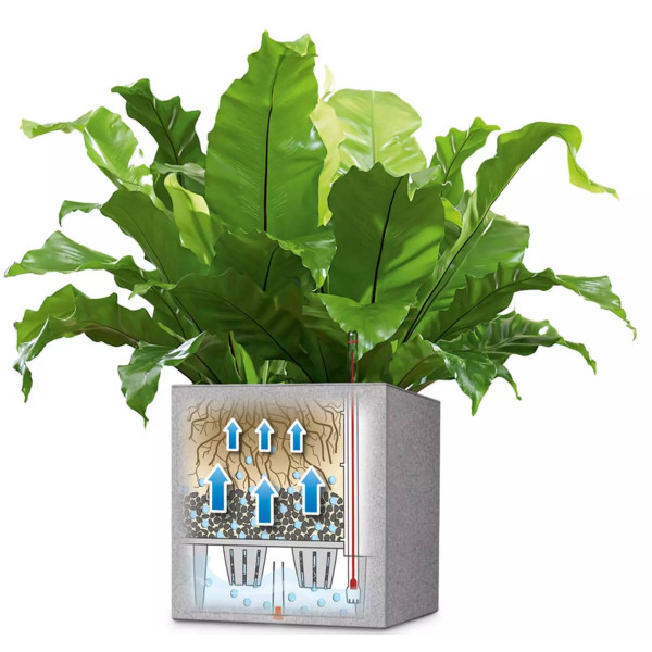 Фото - Вазон Lechuza Canto Slatestone Low  30 темно-сірий 15931