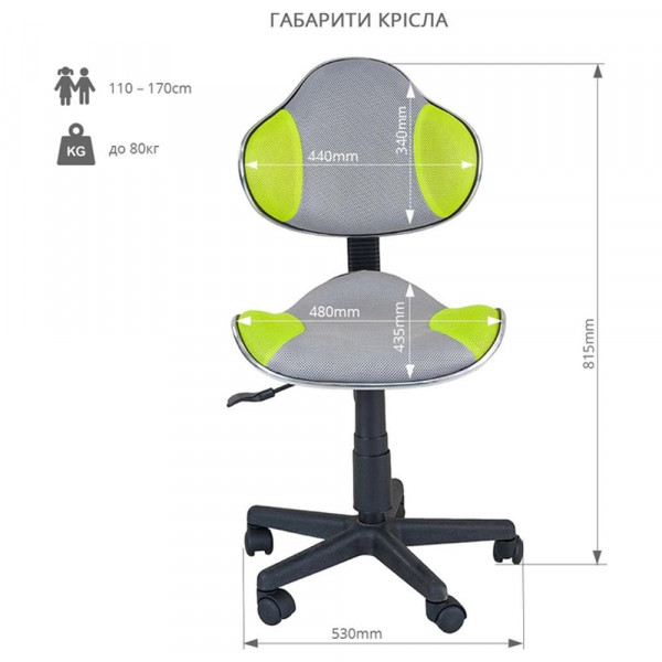 Фото - Крісло дитяче FunDesk LST3 GN-GY