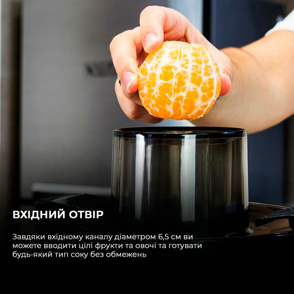 Фото - Соковыжималка центробежная Cecotec Extreme Titanium 19000