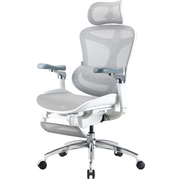 Фото - Крісло офісне Sihoo DORO C300 Pro Mesh White with footrest (DORO-C300-PRO-M102-JT)