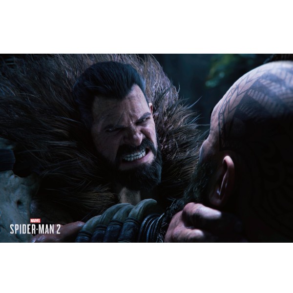 Фото - Игровой диск PS5 Marvel's Spider-Man 2