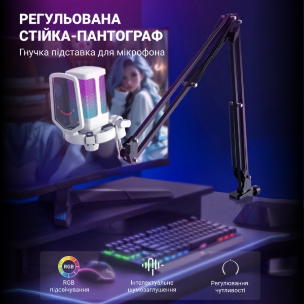 Фото - Мікрофон до комп'ютера Fifine Q6TW USB White