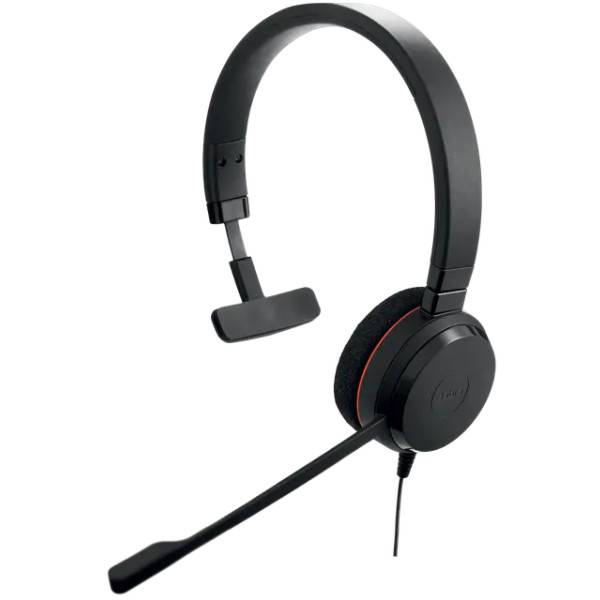Фото - Гарнитура проводная Jabra Evolve 20 (4993-823-169)
