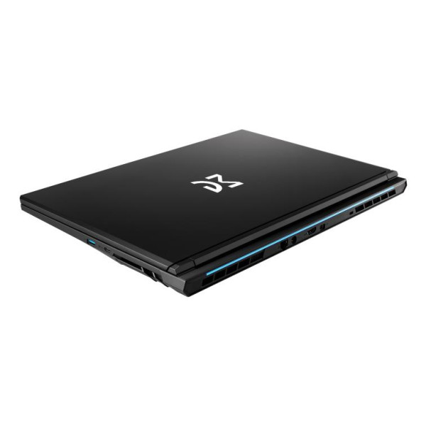Фото - Ноутбук ігровий Dream Machines CI7-13620H (RG5050-17UA27) Black