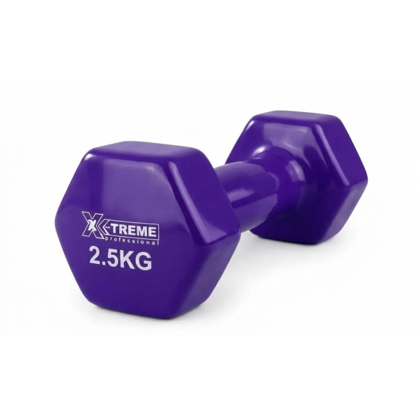Фото - Гантель для фітнесу X-Treme вінілові цільні 2.5 кг Фіолетова (XTDBH-2.5P)