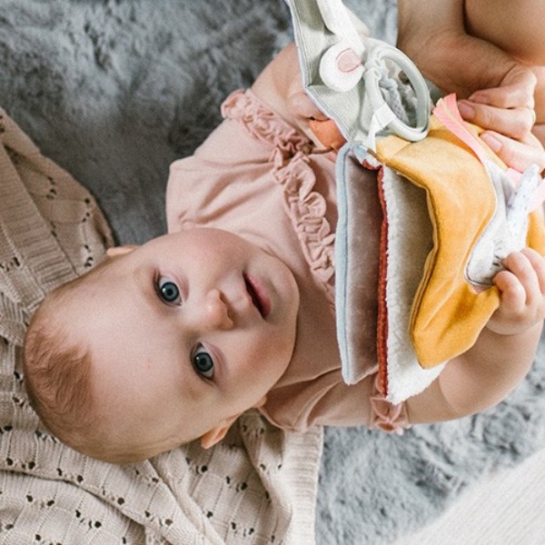 Фото - Книжка-игрушка BabyOno Природа (1531)