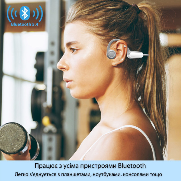 Фото - Навушники накладні бездротові Langsdom BE13