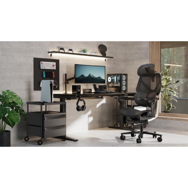 Фото - Крісло для геймерів TX3 Flex Pro Mesh Black (TEGC-3076101.12)