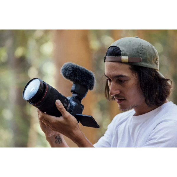 Фото - Фотокамера бездзеркальна Canon EOS R6 Mark II+RF 24-105 f/4.0-7.1 IS STM (5666C030)