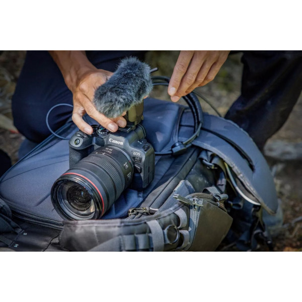 Фото - Фотокамера бездзеркальна Canon EOS R6 Mark II+RF 24-105 f/4.0-7.1 IS STM (5666C030)