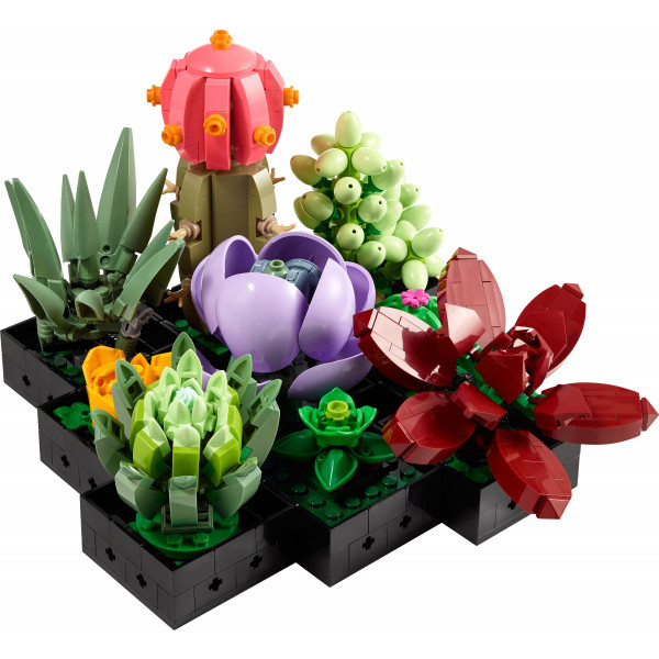 Фото - Конструктор LEGO Botanicals Суккуленты (10309)