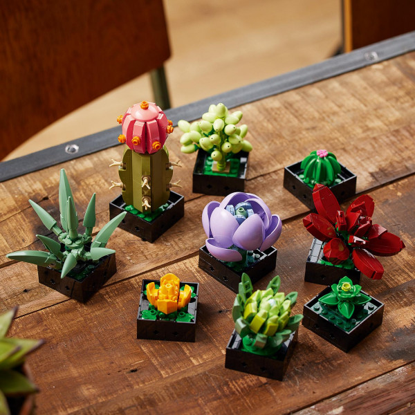 Фото - Конструктор LEGO Botanicals Суккуленты (10309)