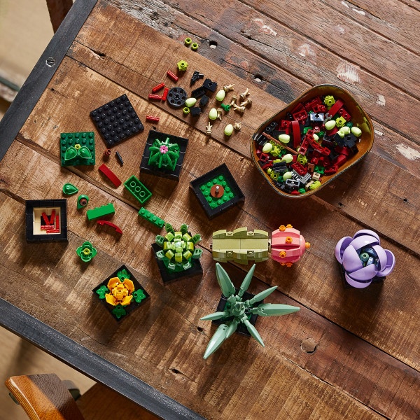 Фото - Конструктор LEGO Botanicals Суккуленты (10309)