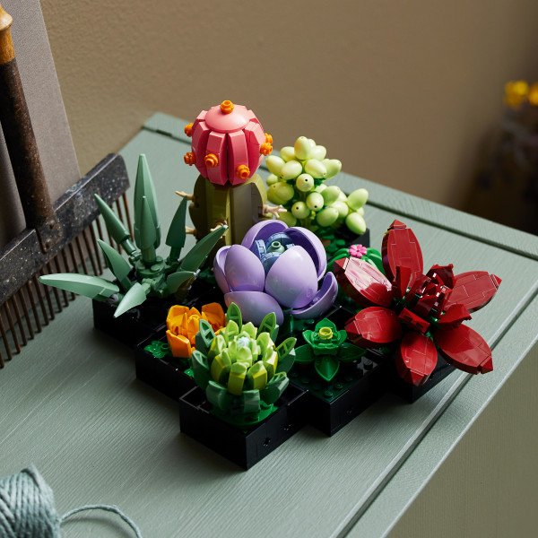 Фото - Конструктор LEGO Botanicals Суккуленты (10309)