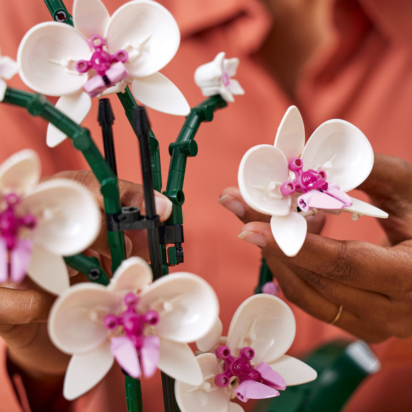 Фото -  LEGO Botanicals Орхідея (10311)