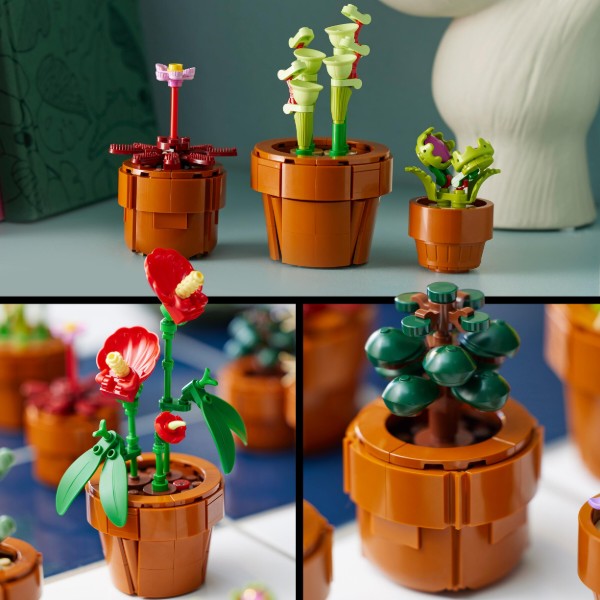 Фото - LEGO Botanicals Мініатюрні рослини (10329)