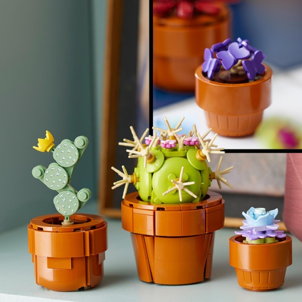 Фото - LEGO Botanicals Мініатюрні рослини (10329)