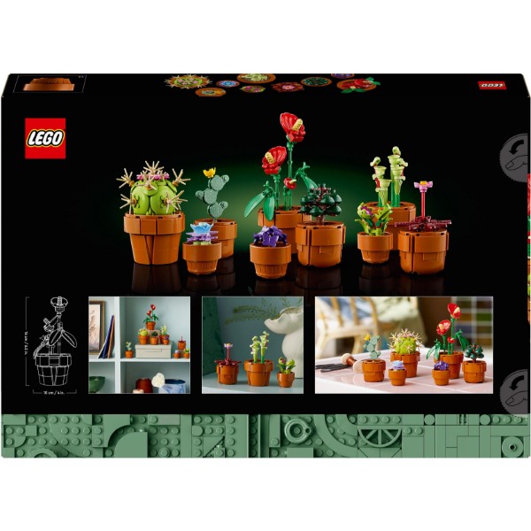 Фото - LEGO Botanicals Мініатюрні рослини (10329)