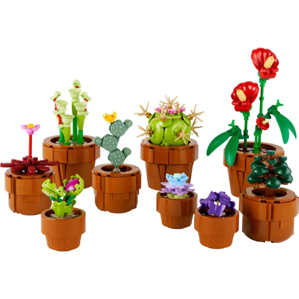 Фото - LEGO Botanicals Мініатюрні рослини (10329)