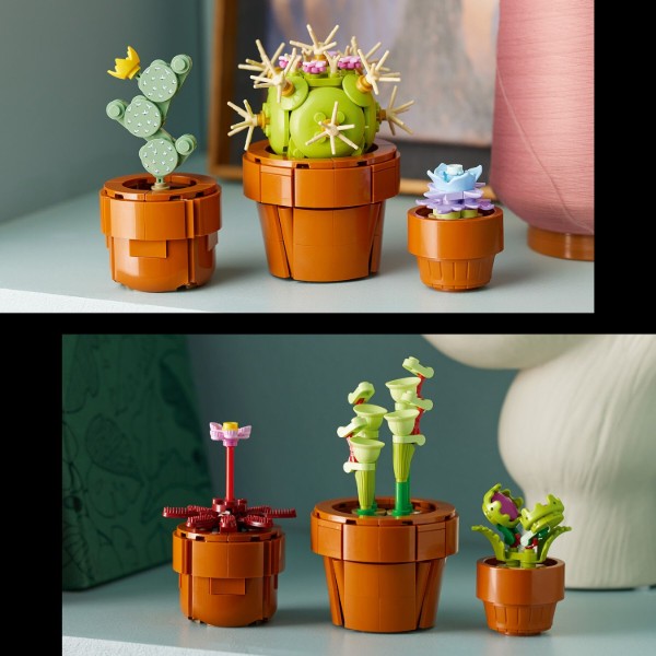 Фото - LEGO Botanicals Мініатюрні рослини (10329)