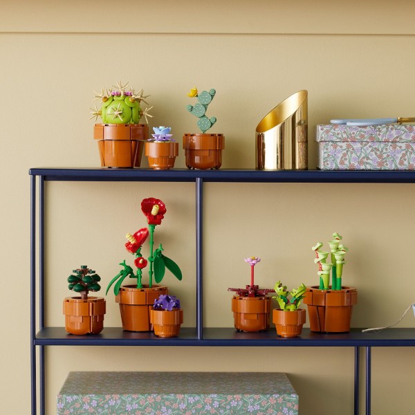 Фото - LEGO Botanicals Мініатюрні рослини (10329)