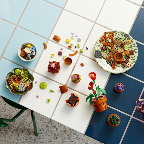 Фото - LEGO Botanicals Мініатюрні рослини (10329)