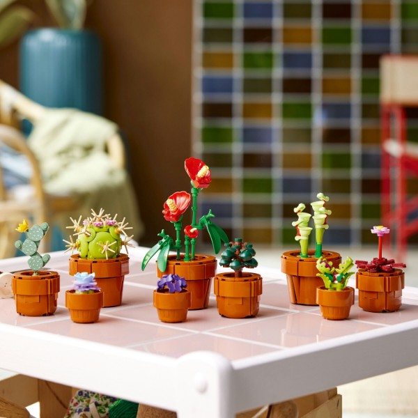 Фото - LEGO Botanicals Мініатюрні рослини (10329)
