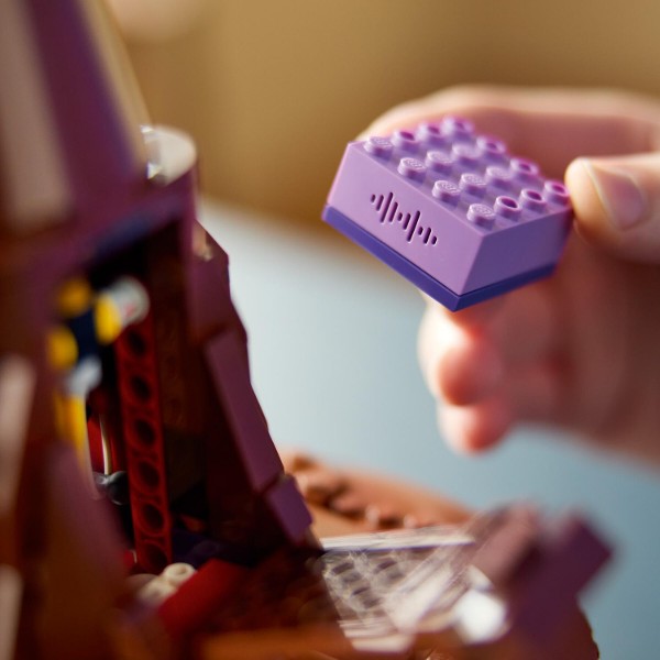 Фото - Конструктор LEGO HARRY POTTER TM Говорящая сортировочная шляпа (76429)