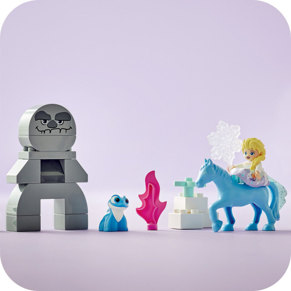 Фото - Конструктор LEGO DUPLO DISNEY TM Ельза й Бруні в Зачарованому лісі (10418)