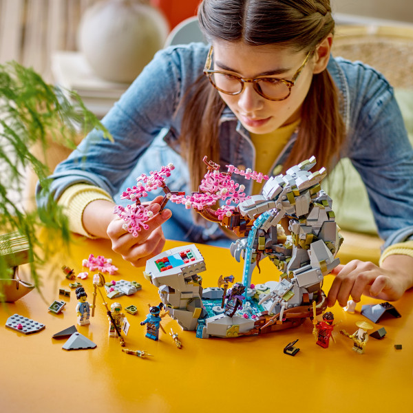 Фото - Конструктор LEGO NINJAGO Храм камня дракона (71819)