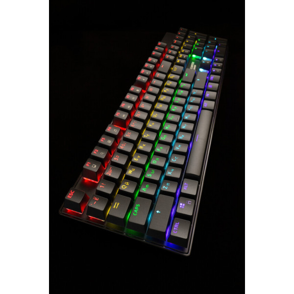 Фото - Клавиатура проводная игровая Canyon Deimos GK-4 Rainbow LED ENG/UKR Black (CND-SKB4-US)