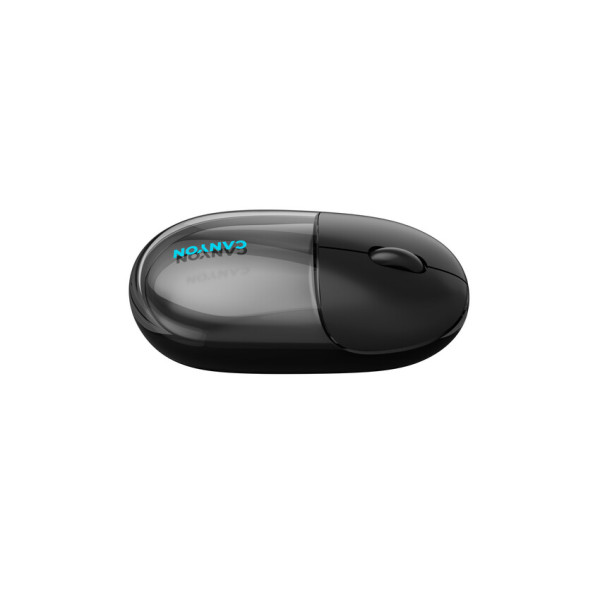 Фото - Мышь беспроводная Canyon OnClick 24 Dual-mode Silent Transparent/Black (CNS-CMSW24B)
