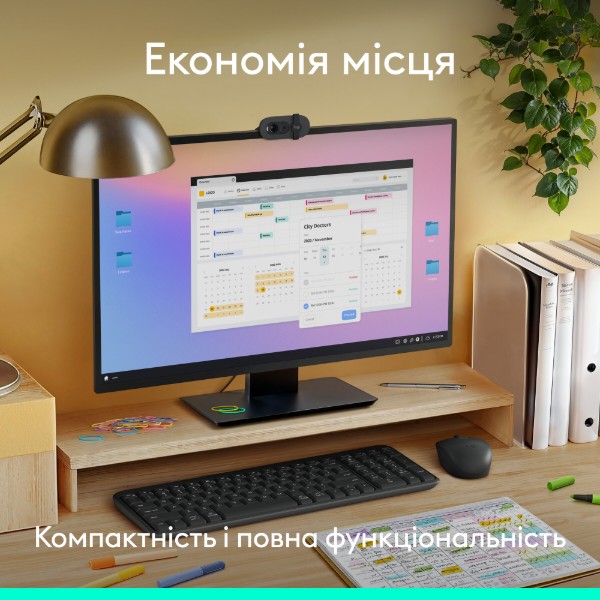 Фото - Клавиатура+мышь беспроводная Logitech MK250 Wireless Combo Graphite UKR (920-013823)