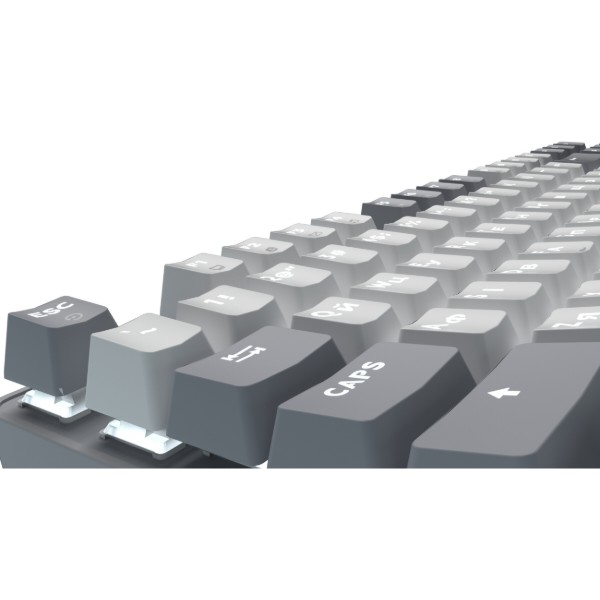 Фото - Клавіатура дротова GamePro Genesis Metallic Outemu Red Swithes USB Gray (MK110G)