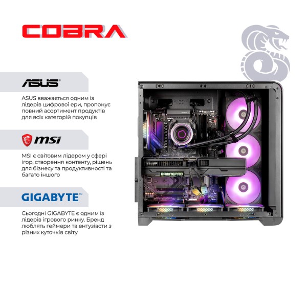 Фото - Системный блок Cobra Gaming (A99X.64.S20.56.21961)