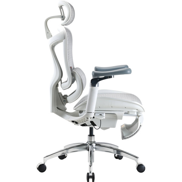 Фото - Крісло офісне Sihoo DORO C300 Pro Mesh White with footrest (DORO-C300-PRO-M102-JT)