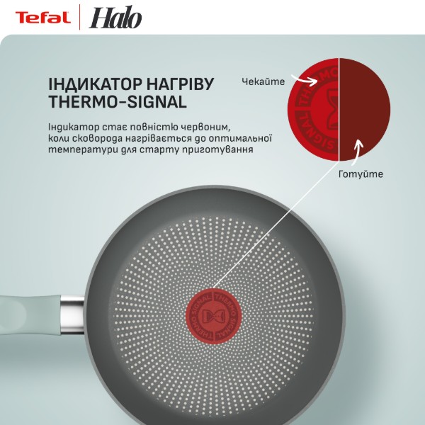 Фото - Сковорода универсальная Tefal G0160202 Halo Eucalyptus 20 см