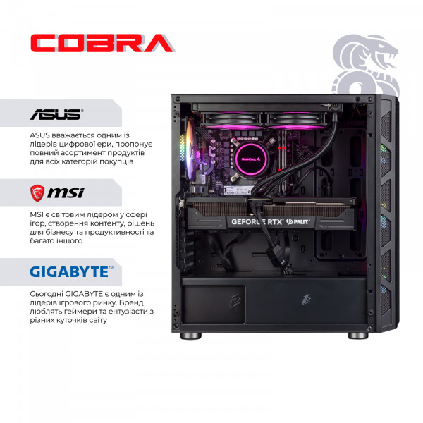 Фото - Системний блок Cobra Gaming (I17KF.32.S5.38.F3091)